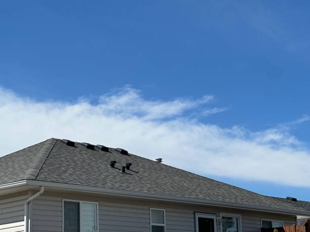 Best Tile Roofing Installation  in Polo, IL